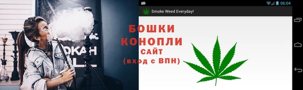 прущие крисы Зеленокумск