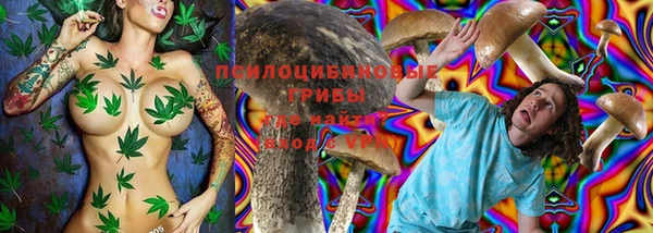 дживик Вуктыл