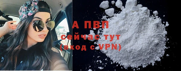 прущие крисы Зеленокумск