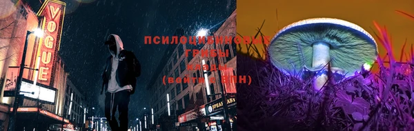 прущие крисы Зеленокумск