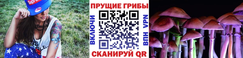 Псилоцибиновые грибы Cubensis  Инза 